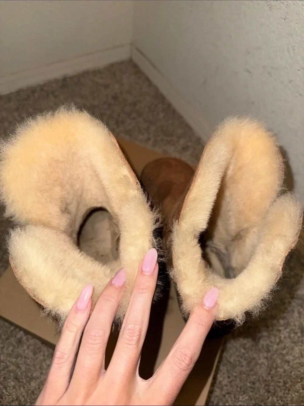 Chestnut Shearling Lined Suede Short Boots